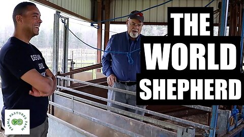 The World Shepherd's Sheep System Pt. 1
