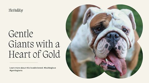 The Bulldog: Gentle Giants with a Heart of Gold