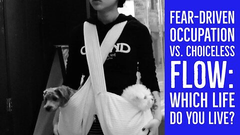 Fear-Driven Occupation vs. Choiceless Flow: Which Life Do You Live?