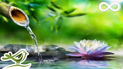 Soothing Relaxation_Relaxing piano Music,Sleep Music, Water sounda, Relaxing Music Meditation.