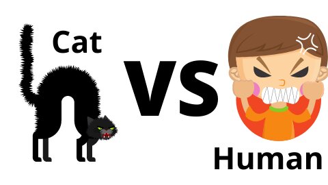 Cat vs human pro world class fighting