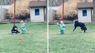 Smart Toddler Negotiates With Dog To Get Toy Back