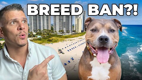 Pit Bull BAN Update! - Living in South FL