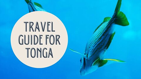 Tonga Travel Guide: Discovering Paradise in the South Pacific