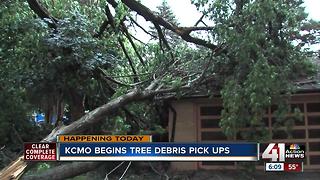 Tree debris pickup begins today in the northland
