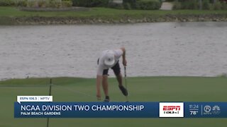 NCAA Division 2 golf championship