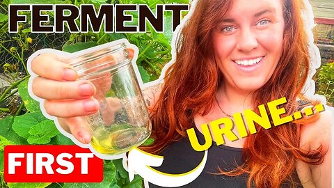Urine As Fertilizer… EVERYTHING You Need To Know.