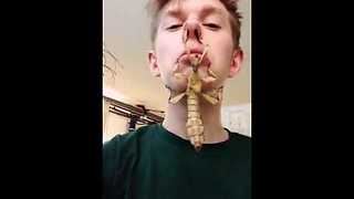Giant bug on guys face! || Viral Video UK