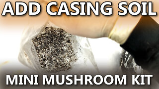 Adding Casing Soil - Mini Mushroom Kit CAD
