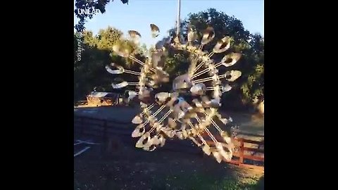 These wind sculptures are so hypnotic