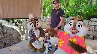 Chip n Dale Disney's Hollywood Studios