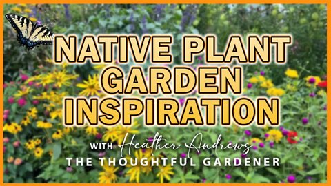 Native Plant Garden Inspiration 2022