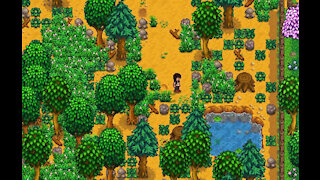 ‘Stardew Valley’s next update will feature splitscreen co-op!