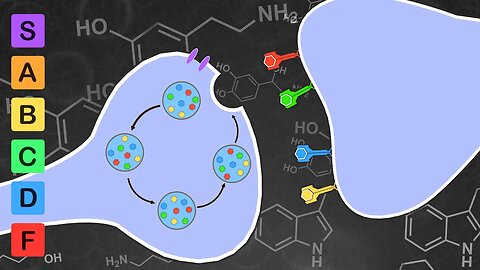 Which Neurotransmitter is the Most Stimulating? (Neurotransmitter Lore)