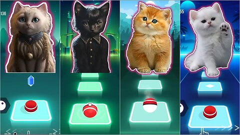 cat sing MONEY vs WEDNESDAY vs WAKA WAKA vs BTS | Tiles Hop: EDM Rush!