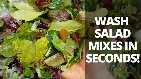 How to Make a Greens Bubbler to Wash Salad Mixes