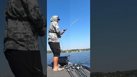 Nearly IMPOSSIBLE Fish Catch (10-Pounder in the Trees)