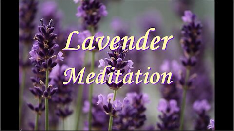 36 - Lavender Meditation: Calming, Restorative, Relaxing