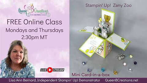 👑 Stampin' Up! Zany Zoo - Mini Card-in-a-box