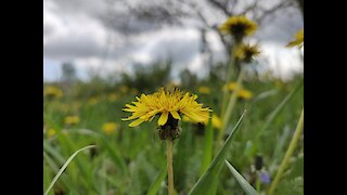 Nature after rain spring beautiful landscape macro