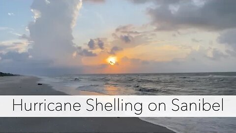 Looking for seashells after a hurricane. I had Sanibel Island to myself!