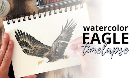 How to Draw a Bald Eagle