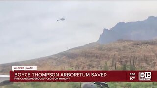 Boyce Thompson Arboretum saved from wildfire