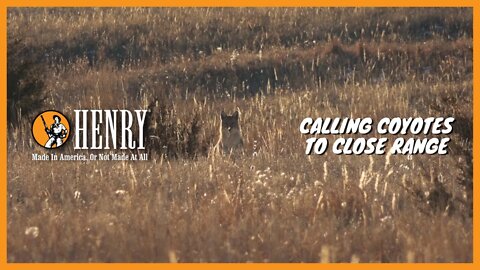 Calling coyotes to close range! #HUNTWITHAHENRY