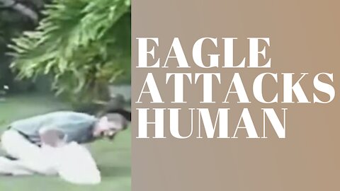 EAGLE ATTACKS HUMAN