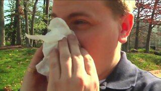 Cleveland Clinic: Allergy suffers experiencing 'double hit' in symptoms as pollen seasons occur simultaneously