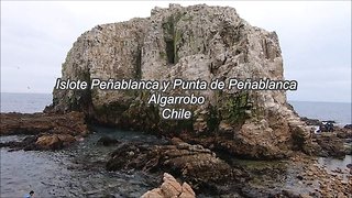 Islote Peñablanca y Punta de Peñablanca, Algarrobo, Chile