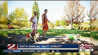 Sixth annual "Mutt Strutt"