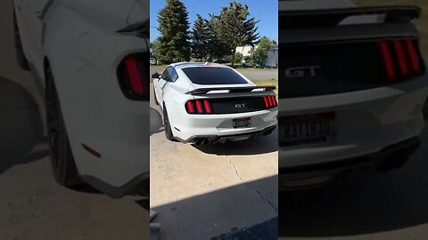 2021 Mustang GT Catless Headers Borla Atak x Procharger COLD START