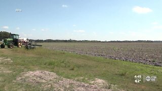 Manatee leaders say draining toxic water from abandoned mine is county's top priority in 2021