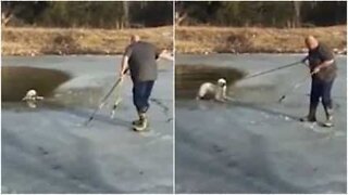 Cão se agarra em corda para ser resgatado de lago congelado!