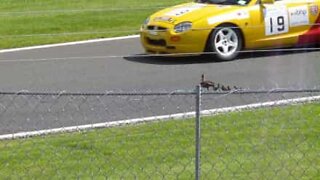 Família de patos atravessa pista de carros de corrida
