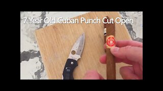 7 Year Old Cuban Punch Cigar Dissection Cut Open