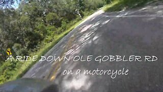 MOTORCYCLE RIDE DOWN OLE GOBBLER RD, IN FLORAL CITY, FLORIDA.