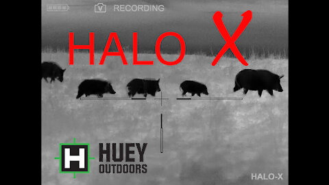 HALO X FIRST HUNTING FOOTAGE