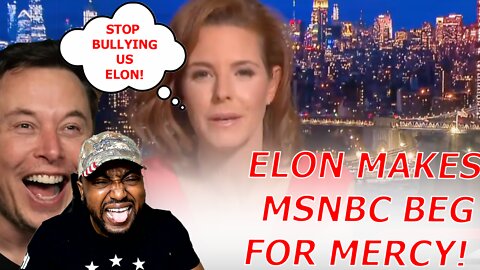MSNBC Host Stephanie Ruhle Begs For MERCY After Elon Musk Embarrasses Her Network On Twitter!