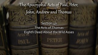 Apocryphal Acts - Acts of Thomas - 8th Deed - About The Wild Asses