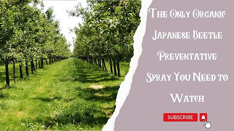 The Only Organic Japanese Beetle Preventative Spray You Need to Watch