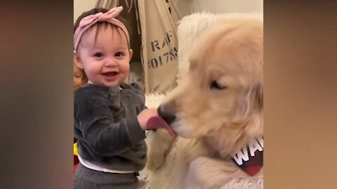 Adorable Babies Playing With Dogs 👶😺🐶 Funny Babies Compilation 2021