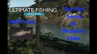 Ultimate Fishing Simulator: The Fish - Moraine Lake - Bull Trout - [00057]