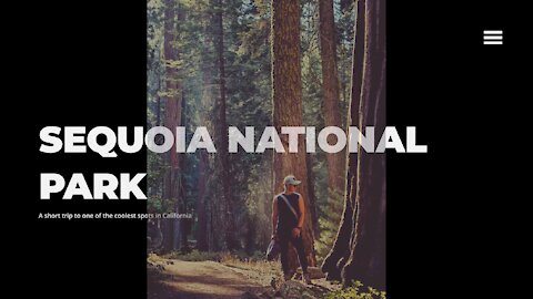 Visited Sequoia National Park for the first time! - Travel Vlog Ep1