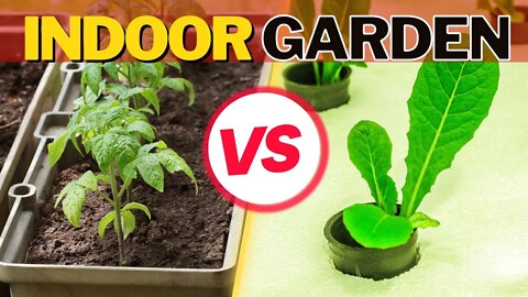 Should You Choose Soil Or Hydro For Indoor Gardening? Is Soil Or Hydro Growing Cheaper?