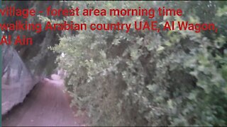 Morning time walking Arabian country UAE, Al wagon, Al Ain