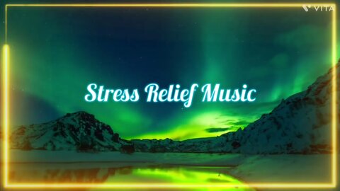 Stress Relief Music | Lofi Music | Lofi Study Music | Lofi Hip Hop Music