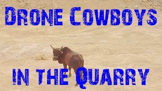 Quarry Drone Cowboys - how to chase cows with drones