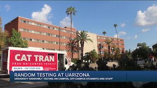 UA institutes random testing to keep coronavirus in check
